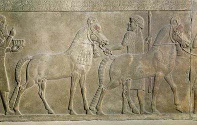 Rilievo che raffigura i tributari di Sargon II, dal Palazzo di Sargon II a Khorsabad, Iraq